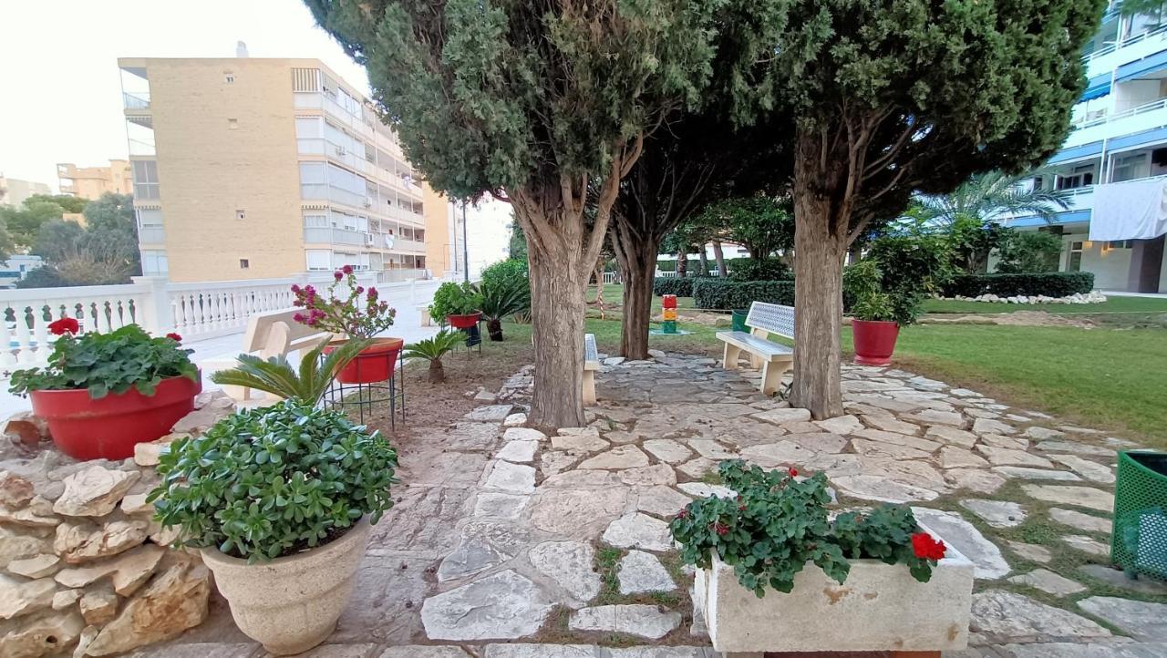 Holidays At My Spanish Grandma Alicante Exterior photo